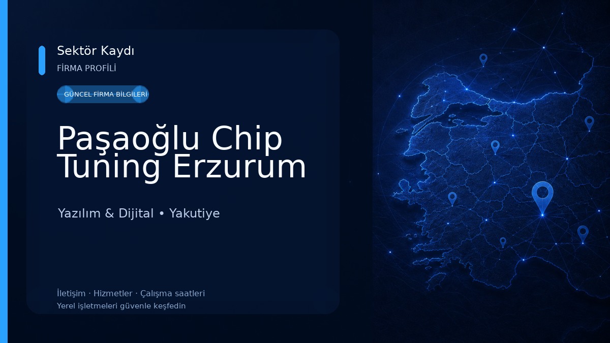 Paşaoğlu Chip Tuning Erzurum Yazılım & Dijital